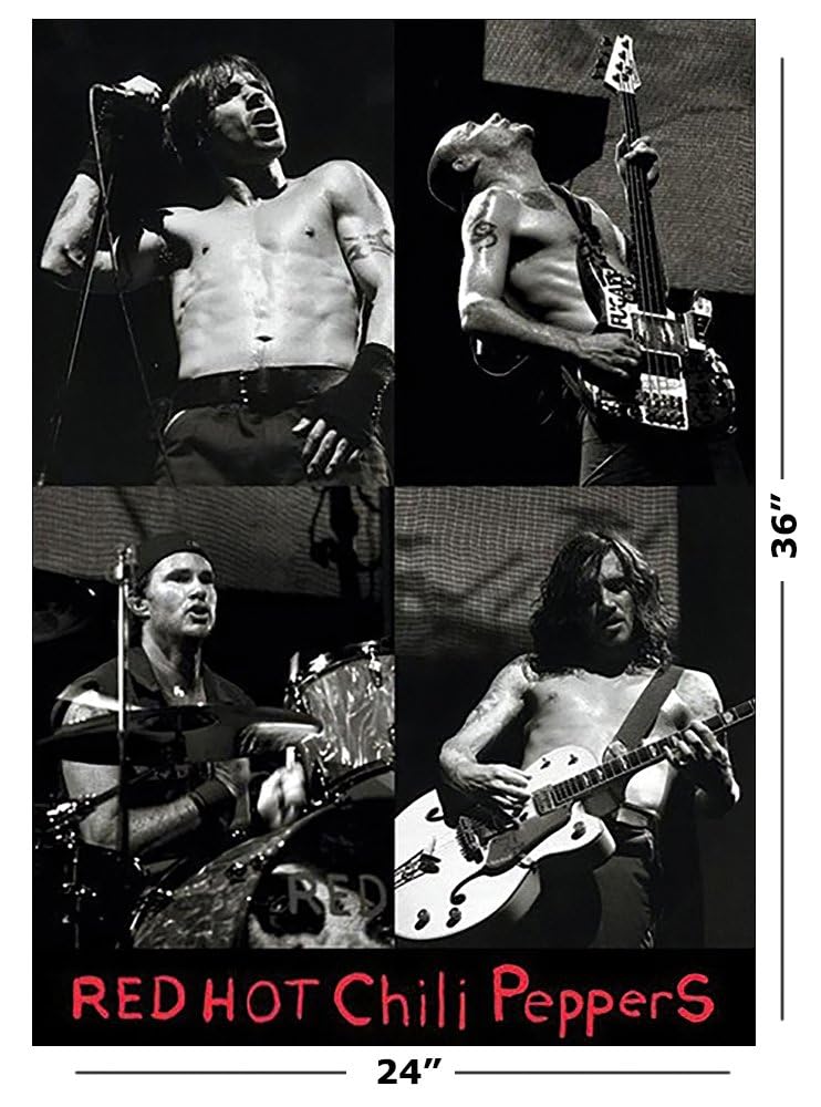 Amazon.com: Red Hot Chili Peppers Music Poster - RHCP Live Collage